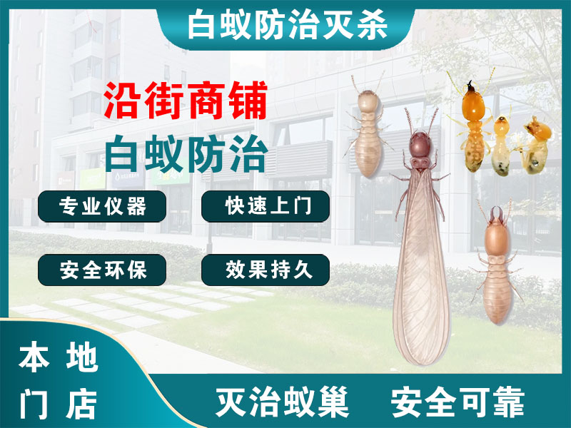 衢江沿街商铺白蚁防治