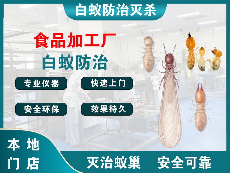 衢江食品加工厂白蚁防治