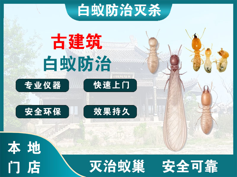 衢江古建筑白蚁防治